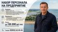 Чебоксарское предприятие набирает сотрудников на временную работу с зарплатой до 185 тысяч рублей