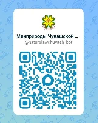 Цифровой помощник для жителей - чат-бот Минприроды Чувашии начал работать в мессенджере МАХ