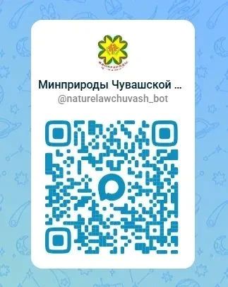 В Чувашии заработал экологический чат-бот В Чувашии заработал экологический чат-бот
