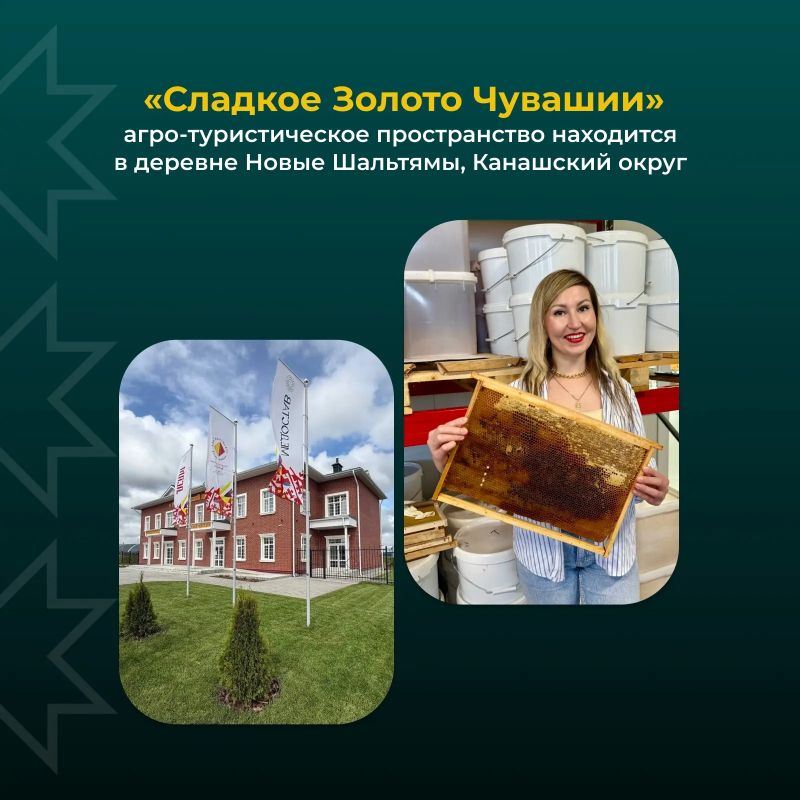 Мы привыкли говорить о работе в поле, но сегодня – про заслуженный отдых Мы привыкли говорить о работе в поле, но сегодня – про заслуженный отдых