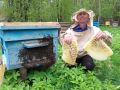 В Медовый Спас — только самые сладкие истории!
