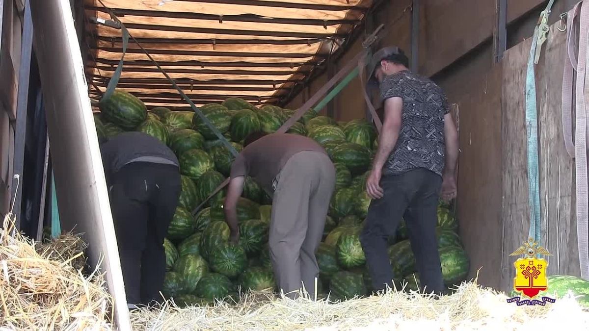 В Чувашии сотрудники полиции во взаимодействии с коллегами из Росгвардии и ФСБ по региону проверили порядка 70 мест возможного пребывания иностранцев