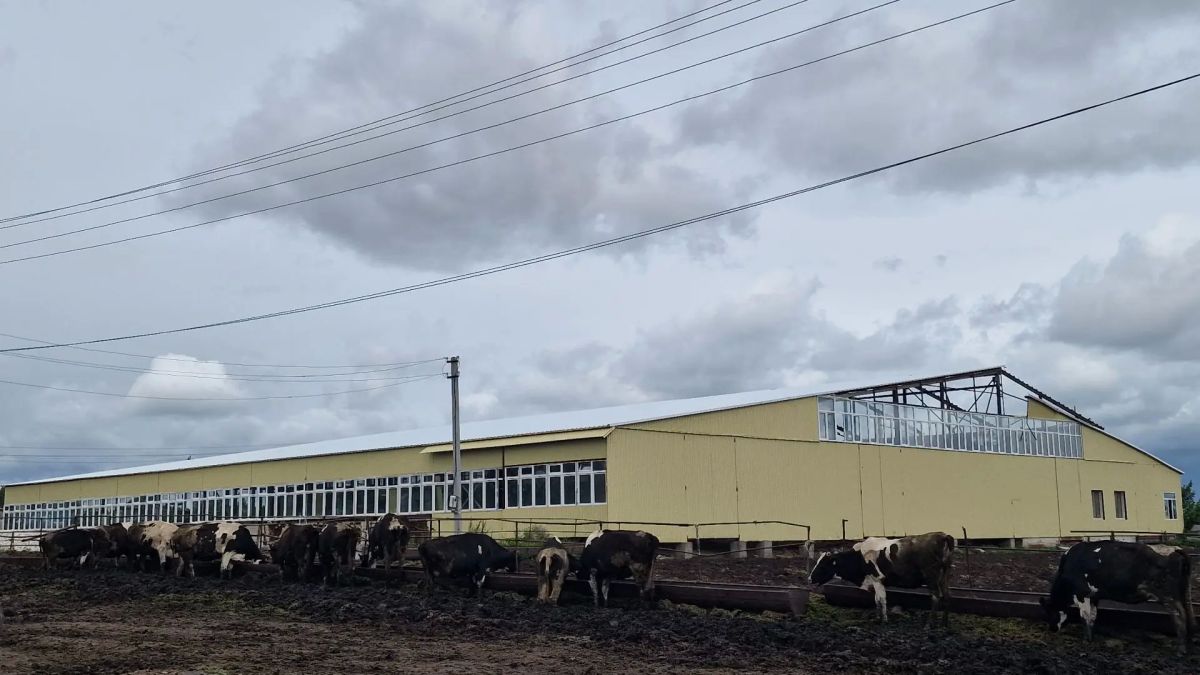 Больше миллиарда рублей поддержки получили семейные фермы Чувашии с начала действия госпрограмм в 2012 году Больше миллиарда рублей поддержки получили семейные фермы Чувашии с начала действия госпрограмм в 2012 году