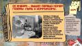 Летопись города Новочебоксарска: 1979 год