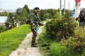 Станислав Трофимов: Ежедневный труд городских служб