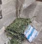 Житель Шумерли выращивал коноплю и хранил наркотики