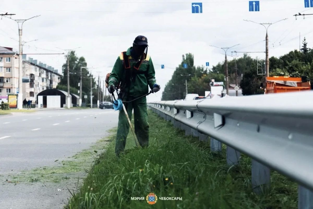 Станислав Трофимов: Ежедневная забота о любимом городе Станислав Трофимов: Ежедневная забота о любимом городе