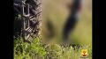 � ������� ����������� �������� ���� �������� � ���������� ������������������
