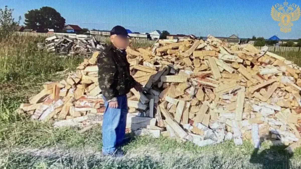 Дрова из леса обернулись для жителя Алатыря уголовным делом Дрова из леса обернулись для жителя Алатыря уголовным делом
