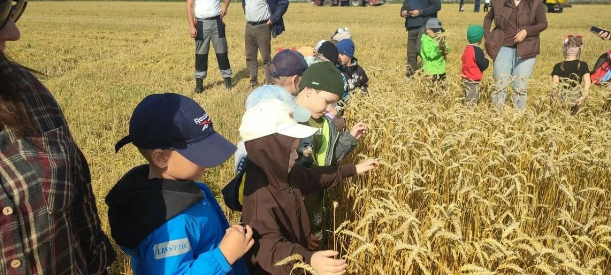 В Ибресинском округе Чувашской Республики продолжается реализация профориентационного проекта «Профессионалитет — детский сад» В Ибресинском округе Чувашской Республики продолжается реализация профориентационного проекта «Профессионалитет — детский сад»
