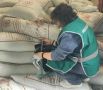 В Чувашию ввезли более 170 тонн солода из Белоруссии