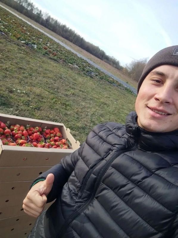 Нет, мы не забыли запятую. В 2022 году валовый сбор составлял 1,2 тонны, а в 2026-ом – уже перешёл за 20 тонн