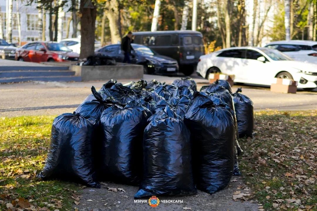 Станислав Трофимов: Чистота и порядок в городе — общая ответственность Станислав Трофимов: Чистота и порядок в городе — общая ответственность