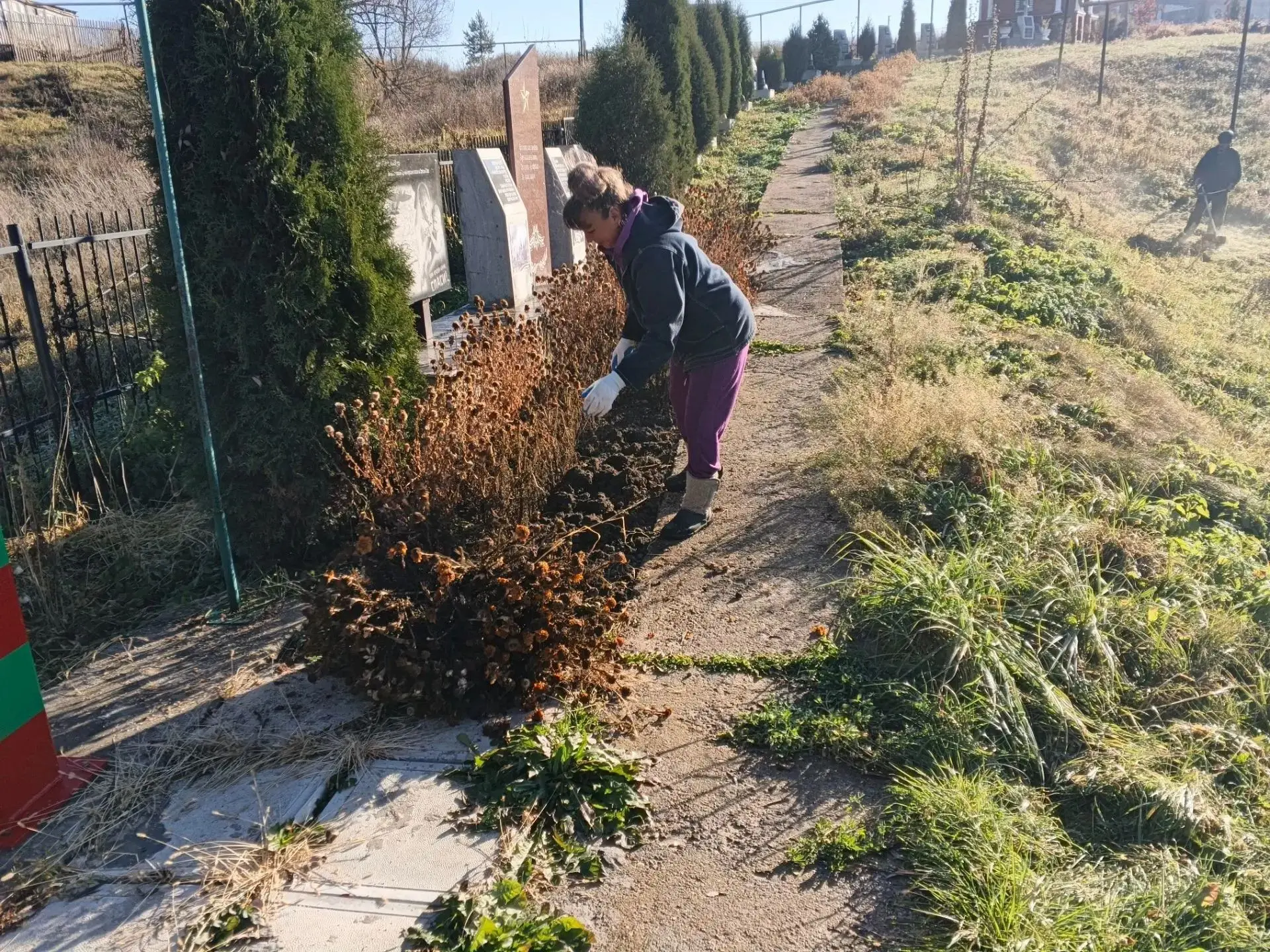 Прошел субботник на Аллее памяти